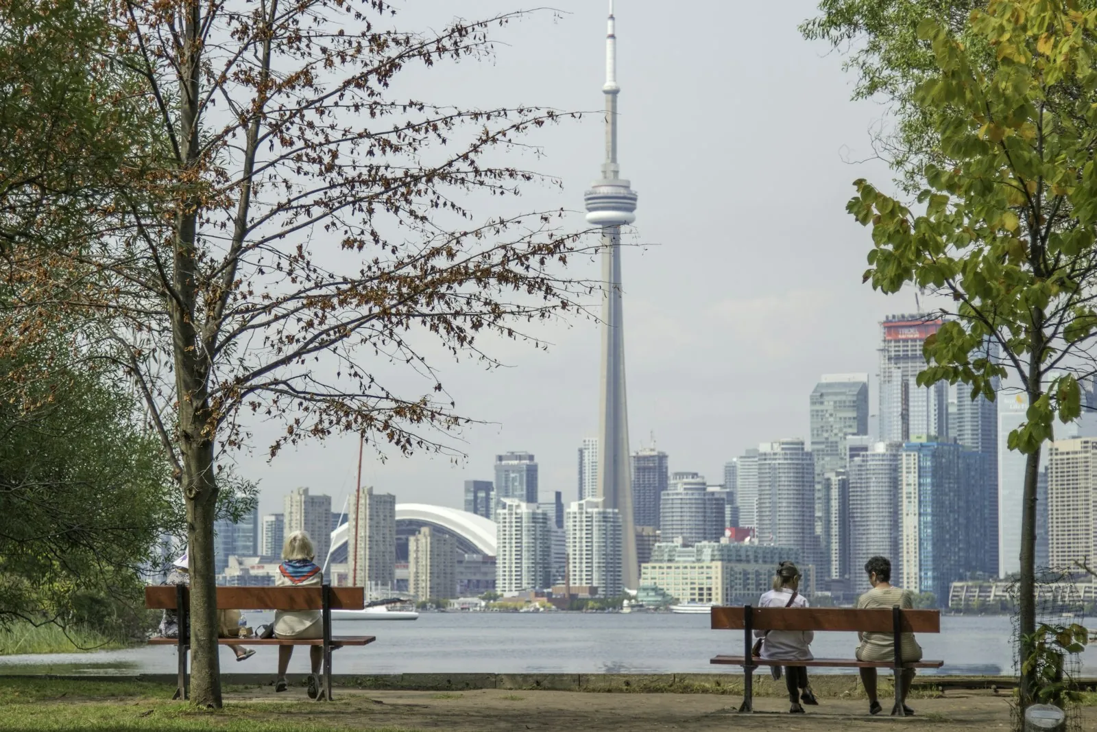 The Toronto skyline seen across the water.